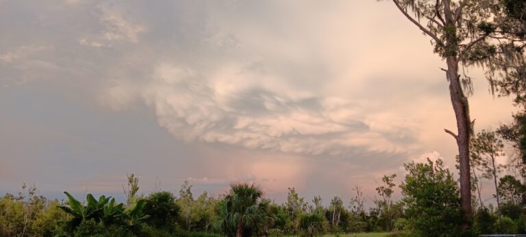 Dramatic mammatus cloud formation at sunset over palm trees at Big Pine Island
