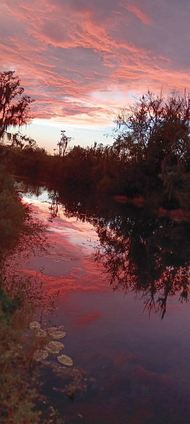 Vivid pink and orange sunset reflected in a calm canal at Big Pine Island, Florida