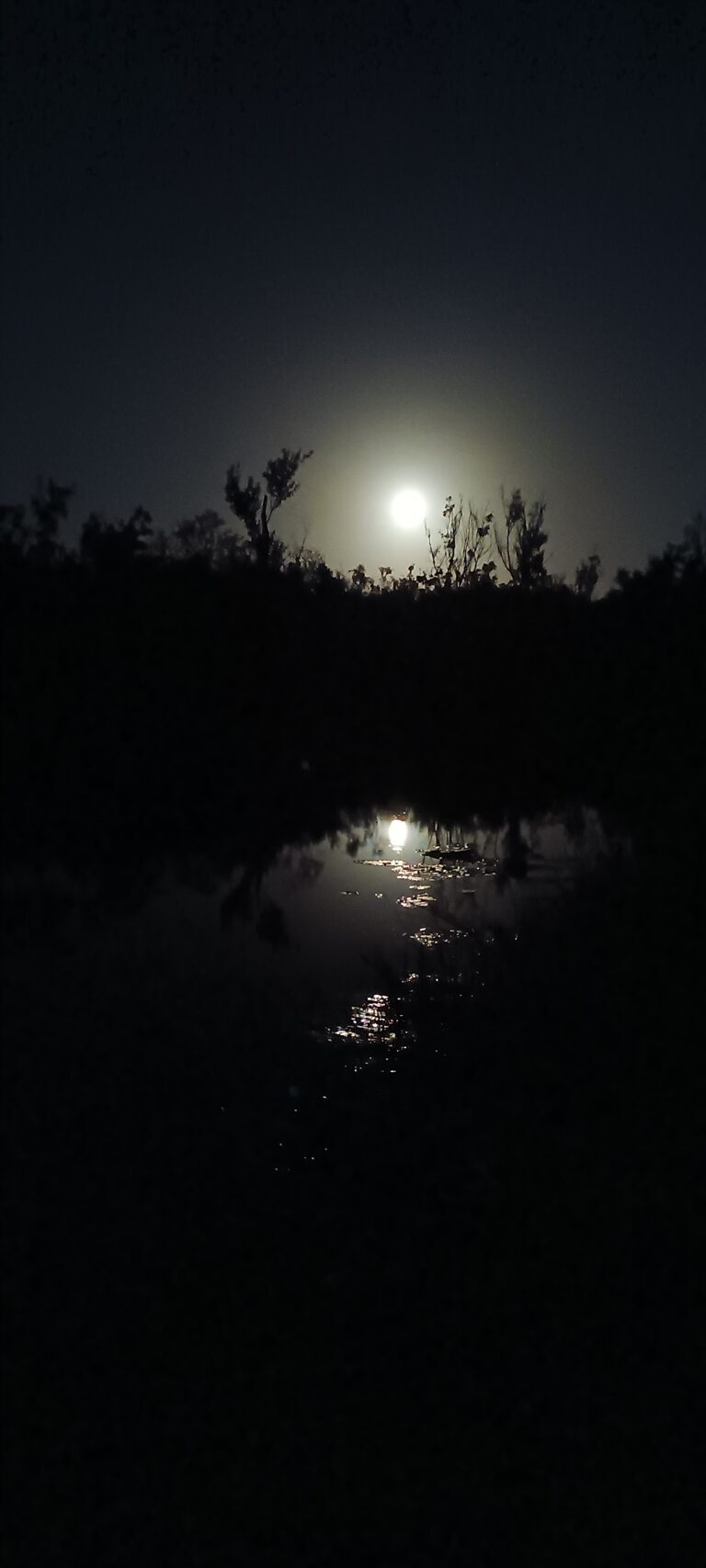 Full moon rising over a swamp with silver reflection on still water, Big Pine Island