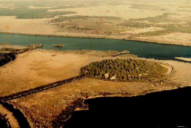 Vintage aerial photograph of Big Pine Island surrounded by wetlands and open water