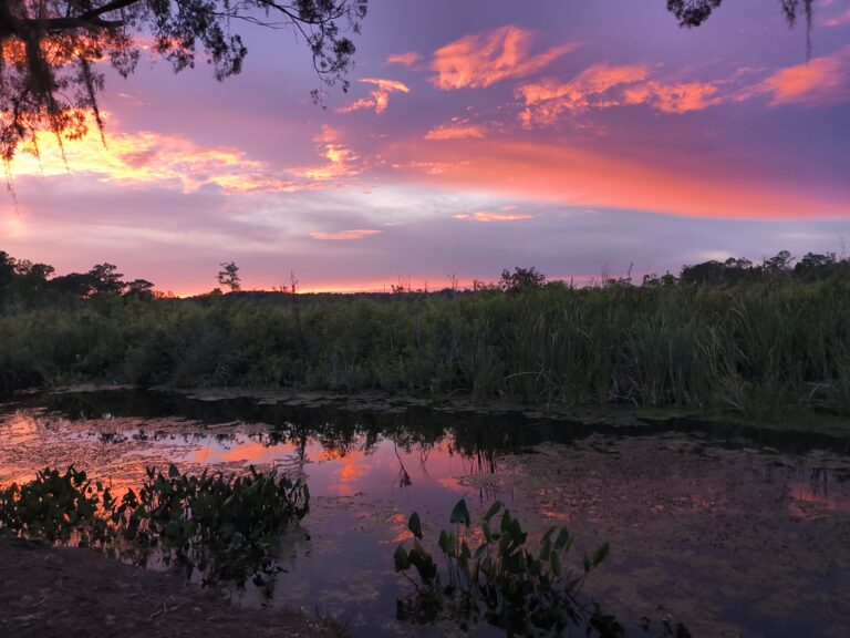 Vibrant cotton-candy sunset over marshland reflected in still water, Big Pine Island