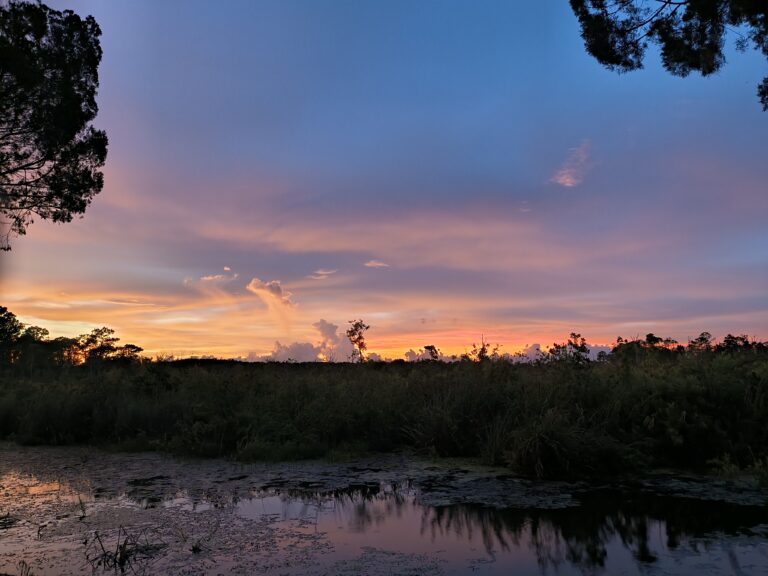 Blue and orange sunset sky over a Big Pine Island pond dotted with lily pads